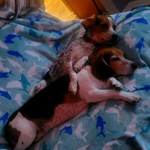 LIVE SHOW 01/31/26@ 09:00  AM  ET